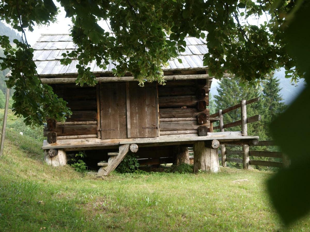 Biobauernhof Spieszschweiger Villa Sankt Nikolai im Solktal Ngoại thất bức ảnh